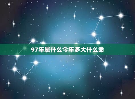 1997生肖|97年属什么 97年属什么命